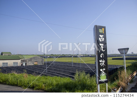 Nishio Tea Field 115274434