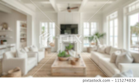 blur background of coastal interior 115274830