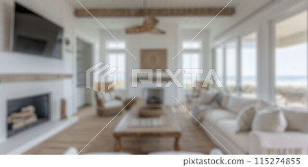blur background of coastal interior 115274855