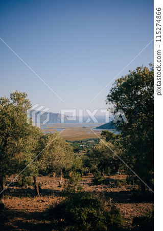 Panoramic view of Dalyan river and Aegean sea from the hill, Turkey Panoramic view of Dalyan river and Aegean sea from the hill, Turkey 115274866