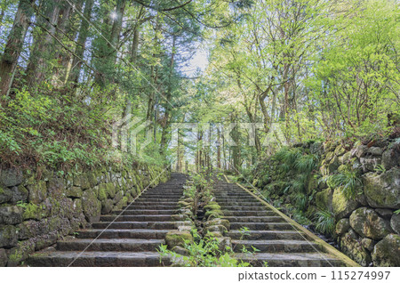 Stone walls and stairs in Nikko, Tochigi 115274997