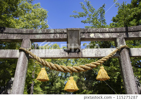 龜山神社 龜山市 龜山神社 龜山市 115275287