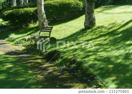 Grassy slope and benches 115275803