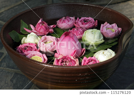 蓮花盆 蓮花盆 115276120