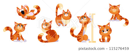 Vector ginger cartoon Cat 115276459
