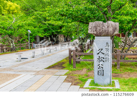 Tottori Castle Ruins Hisamatsu Park 115276609