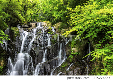 Shiraito瀑佈福岡 115276853