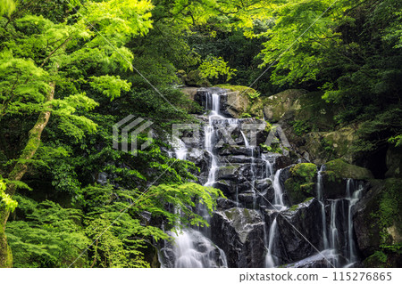 Shiraito Falls Fukuoka 115276865