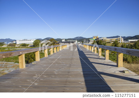 蓬萊橋 島田市 蓬萊橋 島田市 115277151