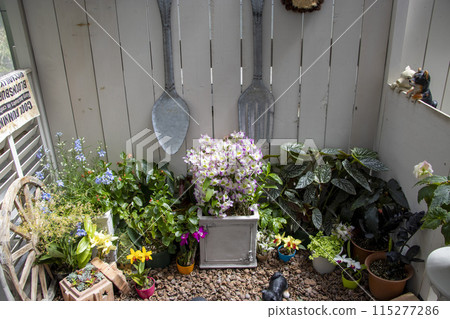 gardening  115277286
