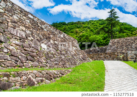 鳥取城遺址、二之丸遺址石牆 鳥取城遺址、二之丸遺址石牆 115277518