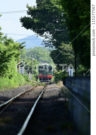 Mooka Railway running through fresh greenery Mooka Railway running through fresh greenery 115277567