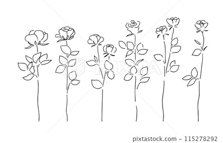 手繪玫瑰向量圖。玫瑰線畫插圖集。玫瑰線畫框架背景。 115278292