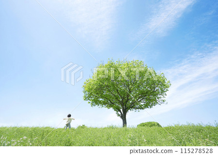 一個孩子在草地上伸出一棵樹 115278528