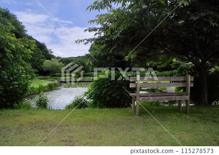 Romantic Ibaraki (I would like to introduce this green and lush park to my friends from other countries.) Ogawa, Yasuragi no Sato, Omitama City Romantic Ibaraki (I would like to introduce this green and lush park to my friends from other countries.) Ogawa, Yasuragi no Sato, Omitama City 115278573