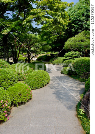 鬱鬱蔥蔥的日本花園 鬱鬱蔥蔥的日本花園 115279597