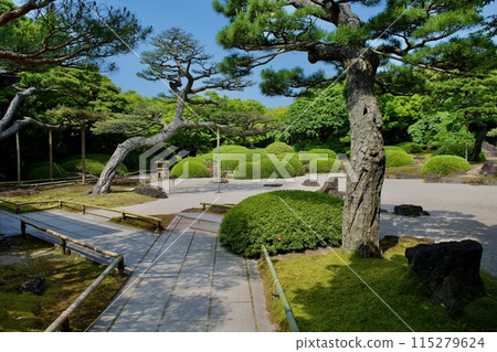 鬱鬱蔥蔥的日本花園 115279624