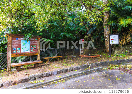 小笠原群島、母島、富士山風景 115279636