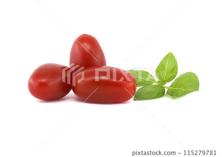 Fresh Roma tomatoes and basil leaves isolated on a white background 115279781