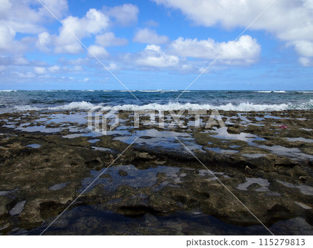 Coral Rock along shore of Kaihalulu Beach 115279813