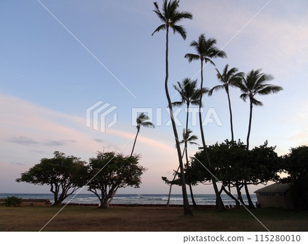 Coconut trees hang over stone path along cliff shore next to shallow ocean waters of Waikiki Coconut trees hang over stone path along cliff shore next to shallow ocean waters of Waikiki 115280010