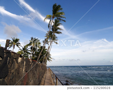 Concrete path with metal railing along cliff shore with coconut trees overhead Concrete path with metal railing along cliff shore with coconut trees overhead 115280028