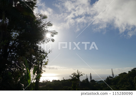Sun begins to set over the ocean shinning through the tree 115280090