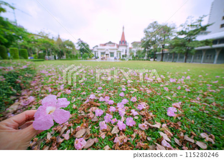 palace, bangkok, Bangkok 115280246