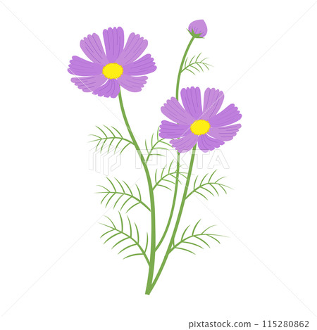 盛開的宇宙插畫02 盛開的宇宙插畫02 115280862