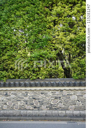 Hakata-bei fence at Rakusuien Garden covered in fresh greenery Hakata-bei fence at Rakusuien Garden covered in fresh greenery 115281247