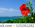 Blue coral reef sea and red hibiscus 115281282