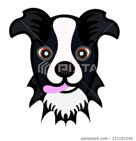 Border collie face illustration Border collie face illustration 115281540