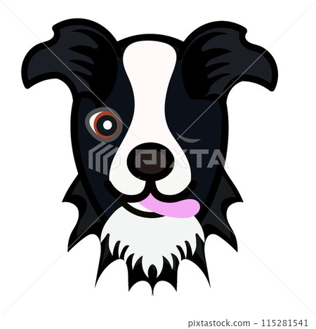 Border collie face illustration Border collie face illustration 115281541