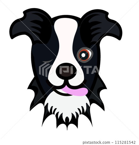 Border collie face illustration Border collie face illustration 115281542
