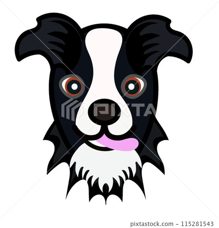 Border collie face illustration 115281543