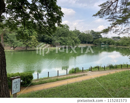 大宮公園池塘 大宮公園池塘 115281573