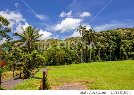 Kuranda 115281604