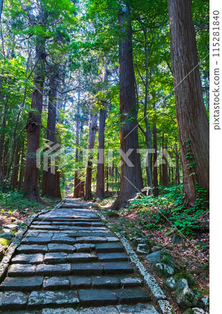 Mount Haguro: Second Slope 115281840