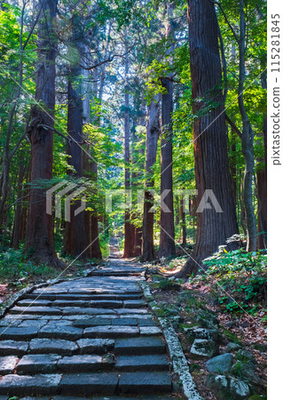 Mount Haguro: Second Slope 115281845