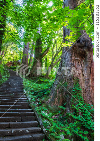 羽黑山:三之坂 羽黑山:三之坂 115281852