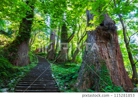 Mount Haguro: Third Slope 115281853