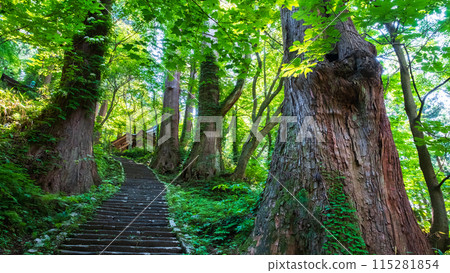 Mount Haguro: Third Slope 115281854