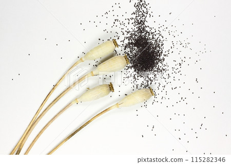 Nagamihinagi seeds Nagamihinagi seeds 115282346