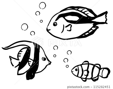 小丑魚、海棠和石斑魚的單色線條畫 115282451