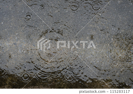 Rain ripples in a puddle on the street Rain ripples in a puddle on the street 115283117