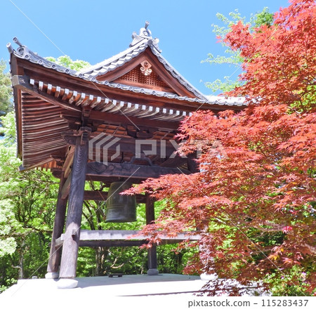 The bell tower surrounded by red maple leaves 115283437