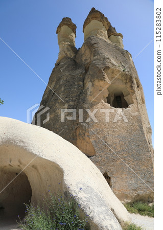 卡帕多西亞帕薩巴的蘑菇岩(垂直) 卡帕多西亞帕薩巴的蘑菇岩(垂直) 115283802
