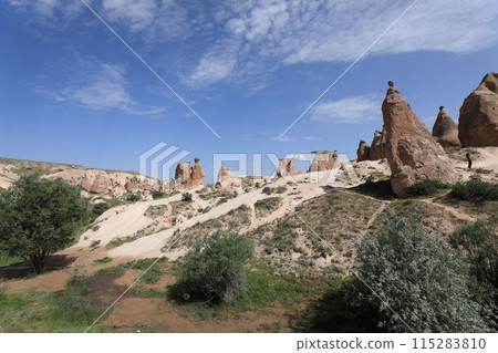 Camel Rock in Devrent Valley, Cappadocia 115283810