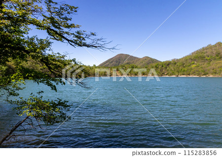 Mount Akagi in early summer - Mount Kurohiyama seen from the shores of Lake Konuma 115283856