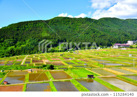 Rice terraces off the coast of Nozawa (Nozawa Onsen Village, Nagano Prefecture) [2024.6] 115284140